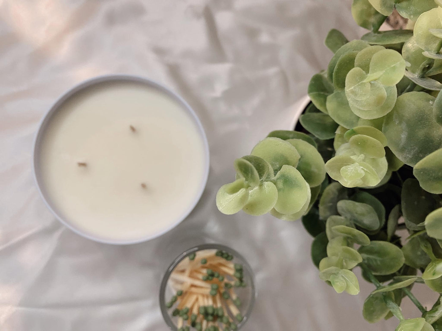 Aloe & Agave Soy Wax Candle - Ruby Creek Candle Co.