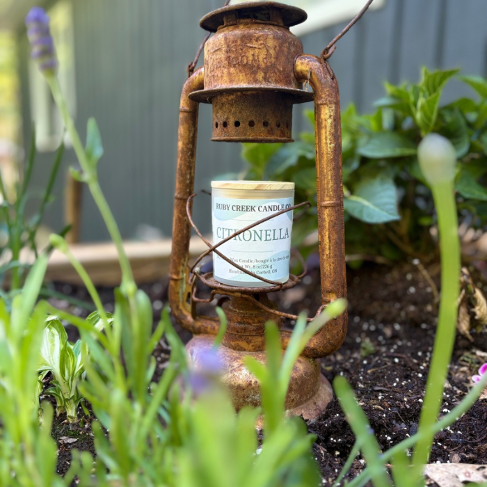 Citronella | Soy Wax Candle