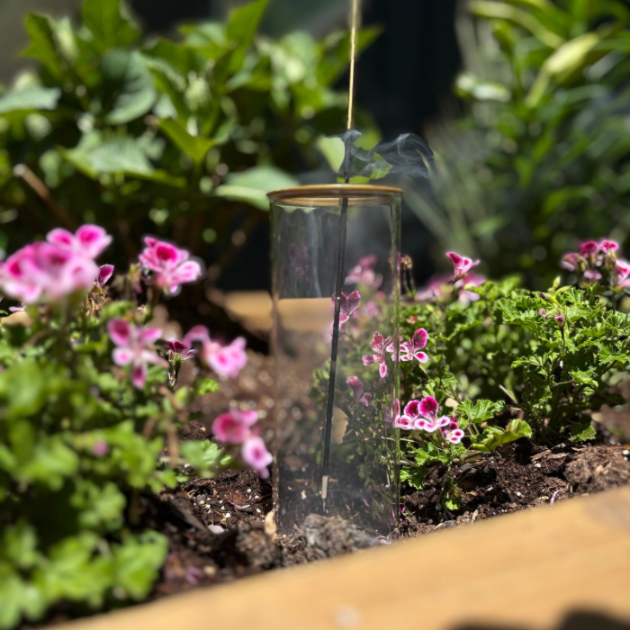 Citronella | Incense Sticks