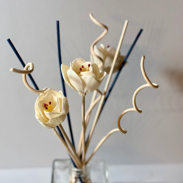 Reed Diffuser Sticks | Accessory