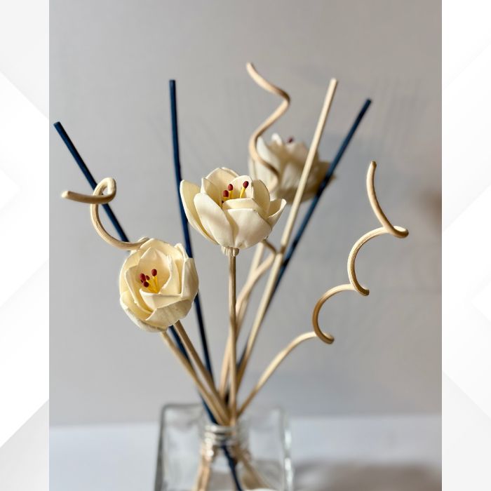 Reed Diffuser Sticks | Accessory