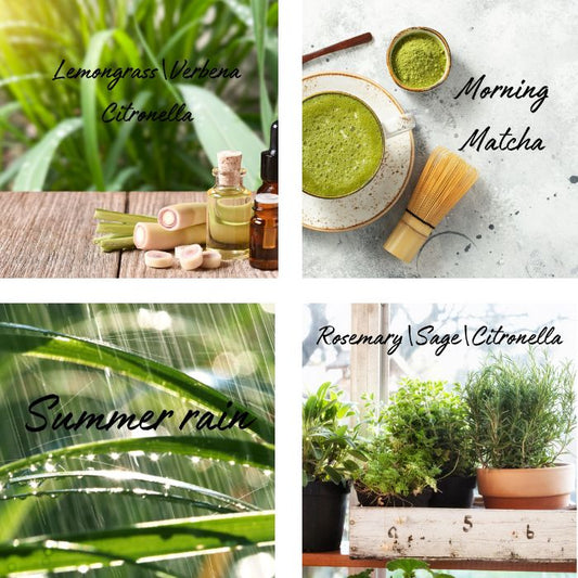 Summer Essentials Candle Box Set - Ruby Creek Candle Co.