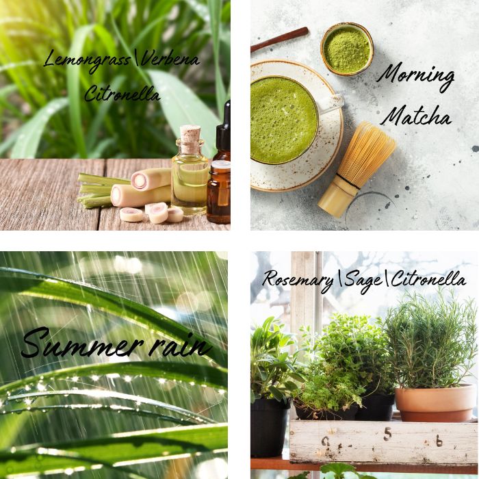 Summer Essentials Wax Melt Box Set - Ruby Creek Candle Co.