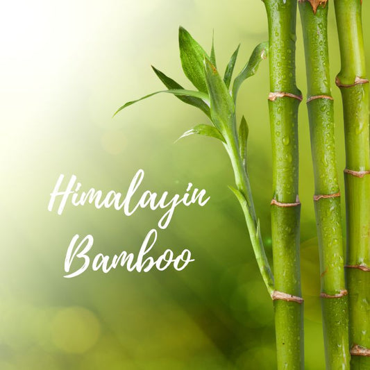 Himalayan Bamboo Car Diffuser - Ruby Creek Candle Co.