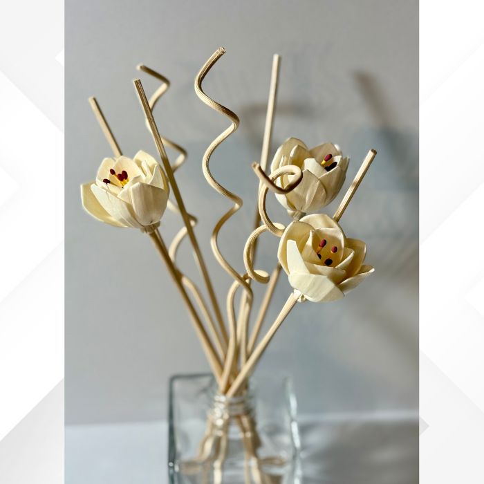 Reed Diffuser Sticks | Accessory