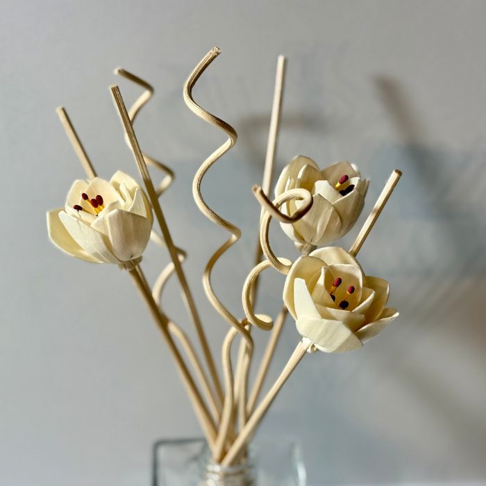 Reed Diffuser Sticks | Accessory
