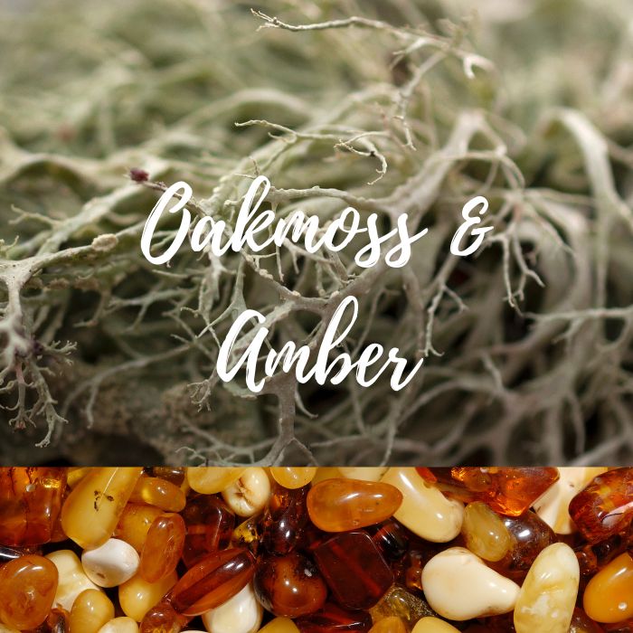 Oak Moss & Amber Soy Wax Melt - Ruby Creek Candle Co.