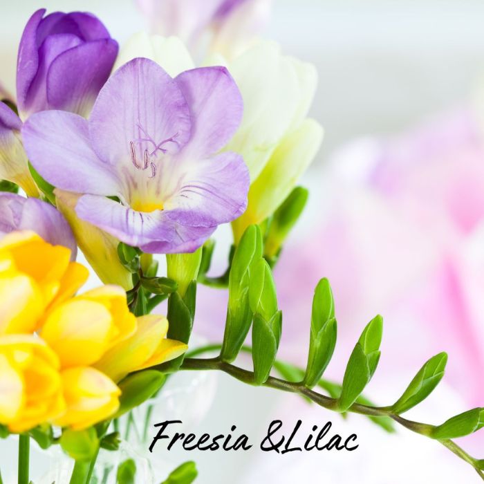 Freesia & Lilac Soy Wax Candle - Ruby Creek Candle Co.