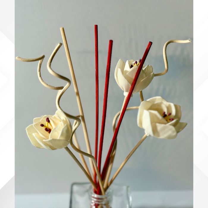 Reed Diffuser Sticks | Accessory