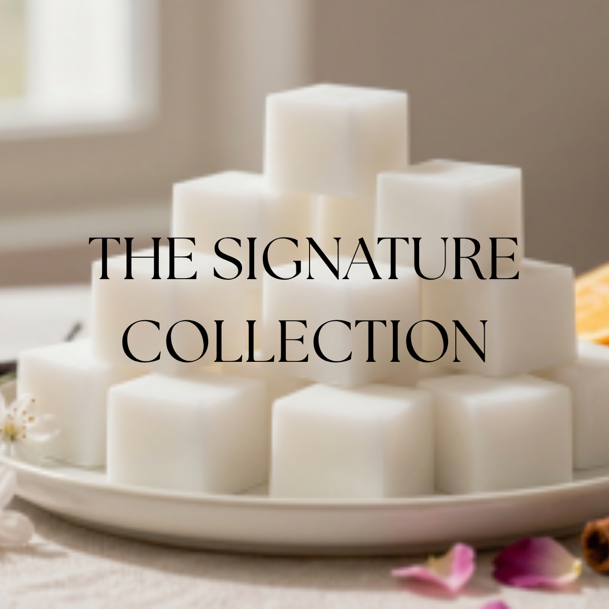 The Signature Collection