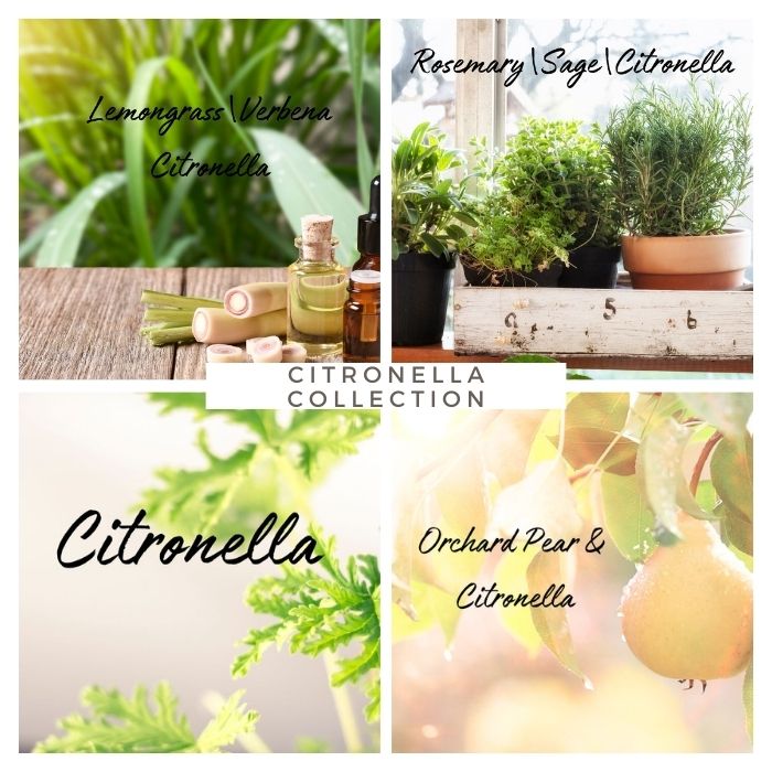 The Citronella Candle Box Set - Ruby Creek Candle Co.