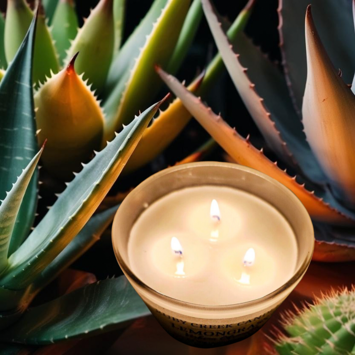 Aloe & Agave Soy Wax Candle