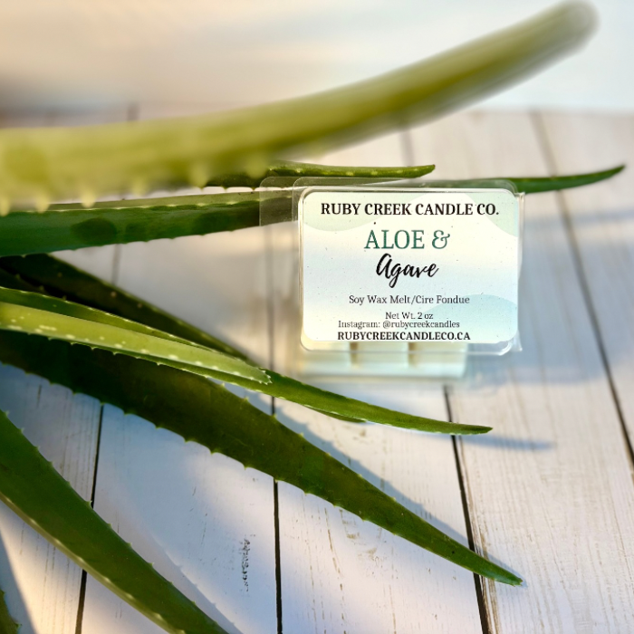 Aloe & Agave Soy Wax Melt