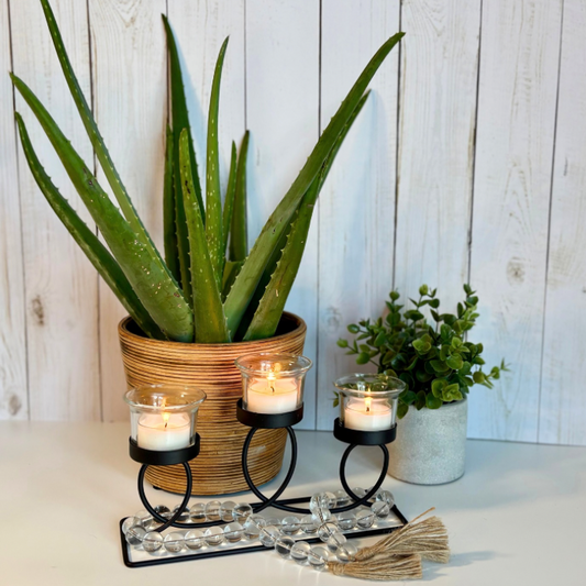 Aloe & Agave Soy Wax Tea Light