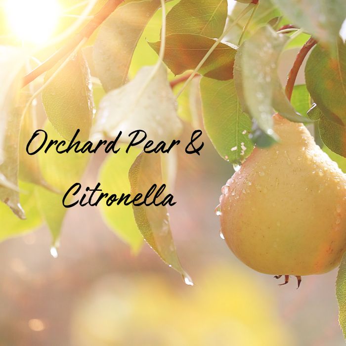 Orchard Pear & Citronella Soy Wax Candle