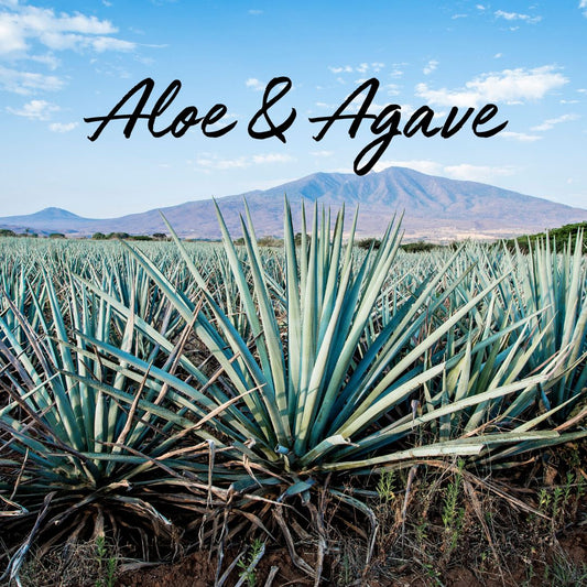 Aloe & Agave Soy Wax Tea Light