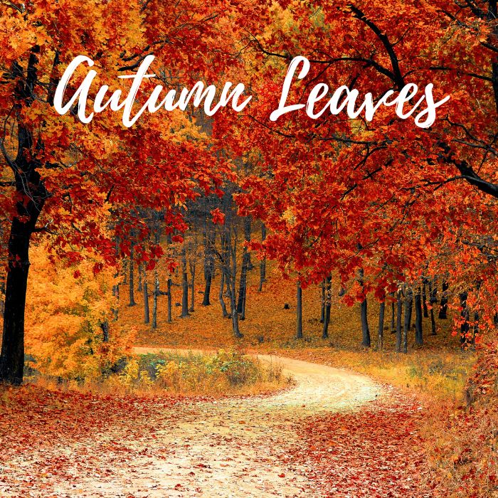 Autumn Leaves Soy Wax Candle