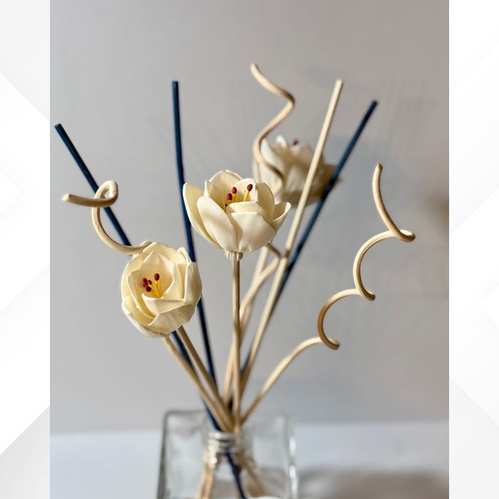 Reed Diffuser Sticks