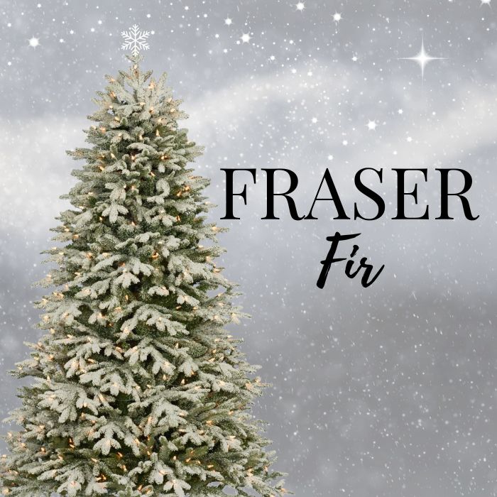 Fraser Fir Soy Wax Melt