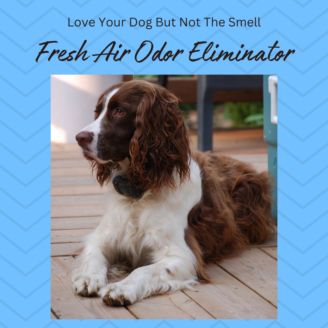 Fresh Air Odor Eliminator Soy Wax Melt - Ruby Creek Candle Co.