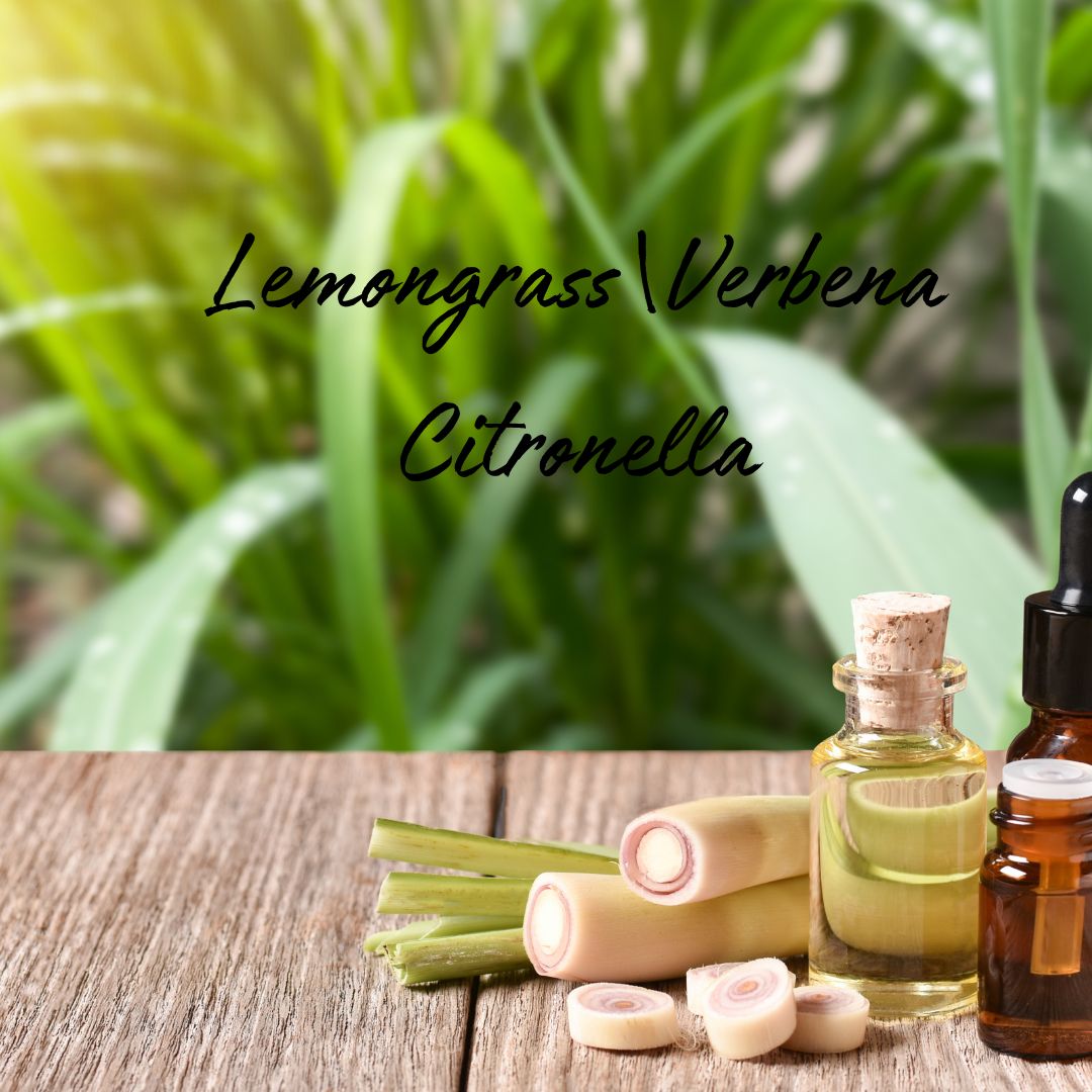 Lemongrass and Verbena Citronella Soy Wax Candle