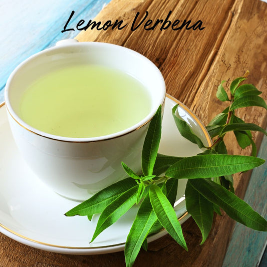 Lemon Verbena Soy Wax Tea Light - Ruby Creek Candle Co.