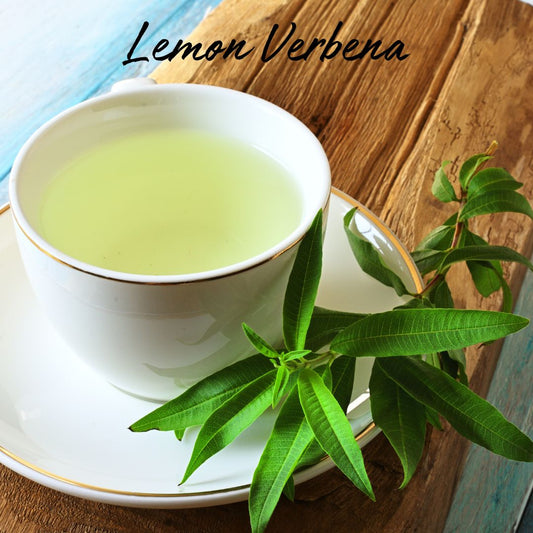 Lemon Verbena Soy Wax Tea Light