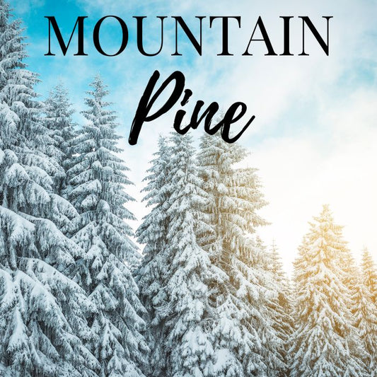 Mountain Pine Soy Wax Candle