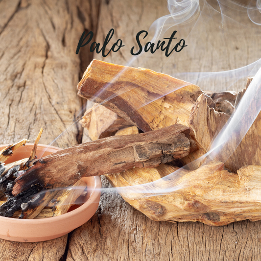 Palo Santo | Soy Wax Candle