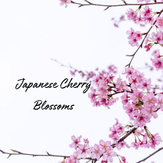 Japanese Cherry Blossoms Soy Wax Candle