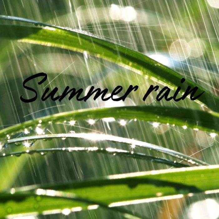 Summer Rain Soy Wax Melt