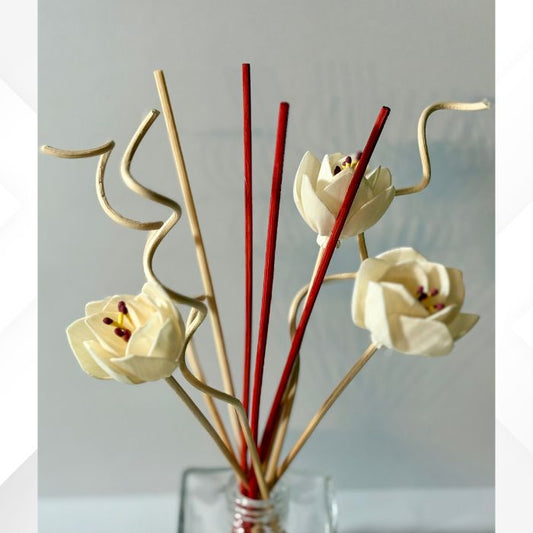 Reed Diffuser Sticks